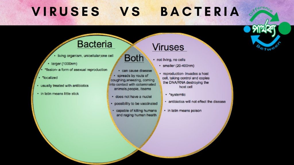 ভাইরাস এবং ব্যাকটেরিয়া