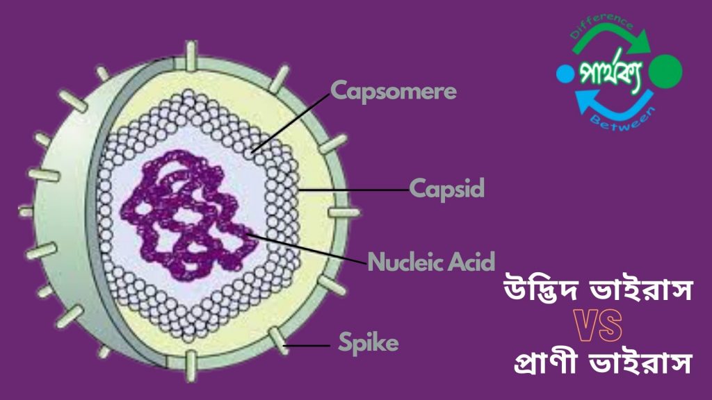 উদ্ভিদ ও প্রাণী ভাইরাসের