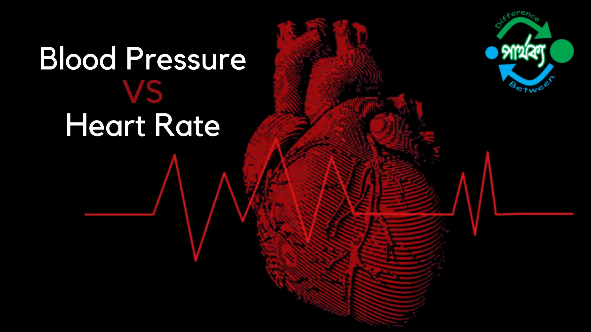 রক্ত চাপ ও হার্ট রেটের মধ্যে পার্থক্য