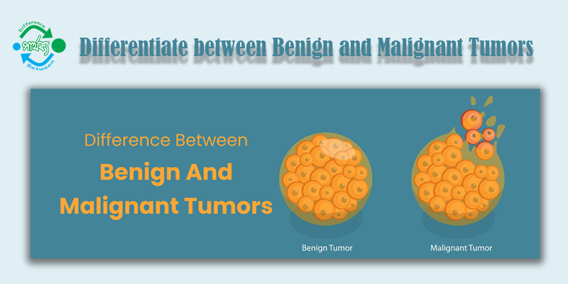 বেনাইন এবং ম্যালিগন্যান্ট টিউমারের